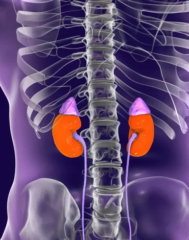 Adrenal yorgunluk