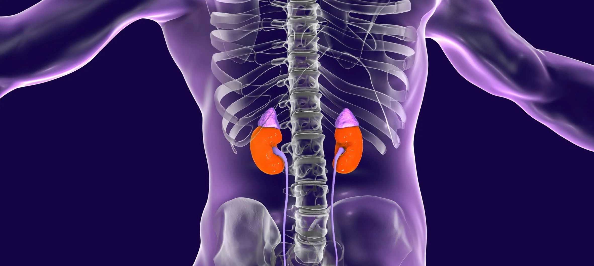 Adrenal yorgunluk
