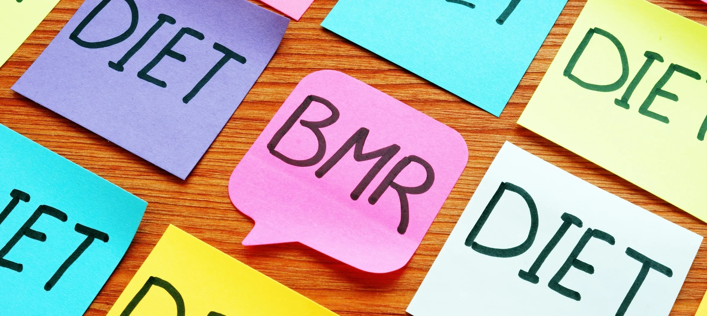 BMR (Bazal Metabolizma Hızı) Hesaplayıcı