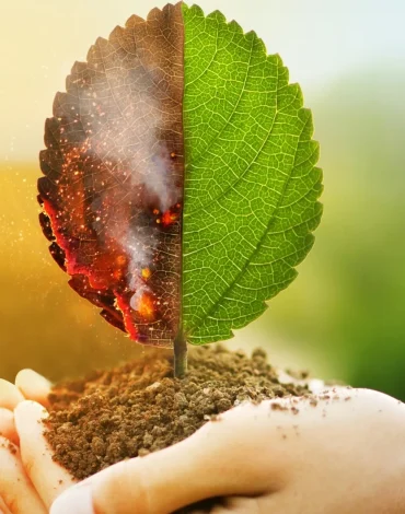 Çevresel toksinlerle başa çıkma yolları