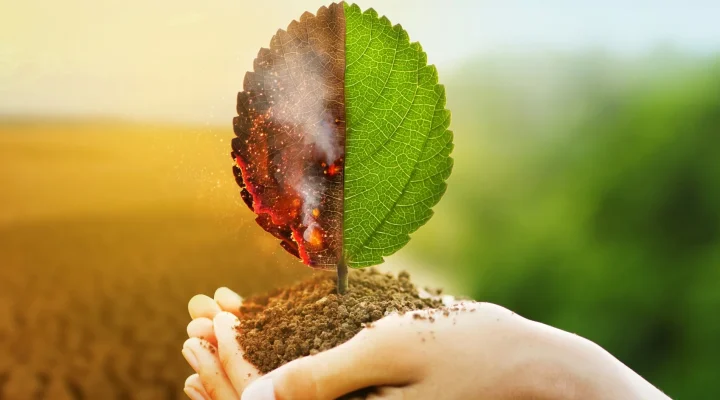 Çevresel toksinlerle başa çıkma yolları