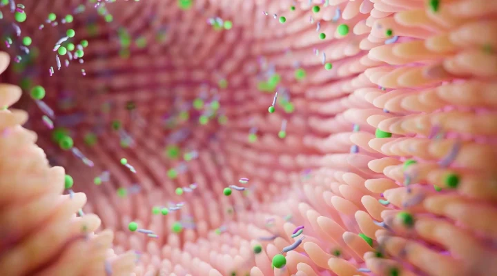 Disbiyozis (bağırsak mikrobiyota bozuklukları)