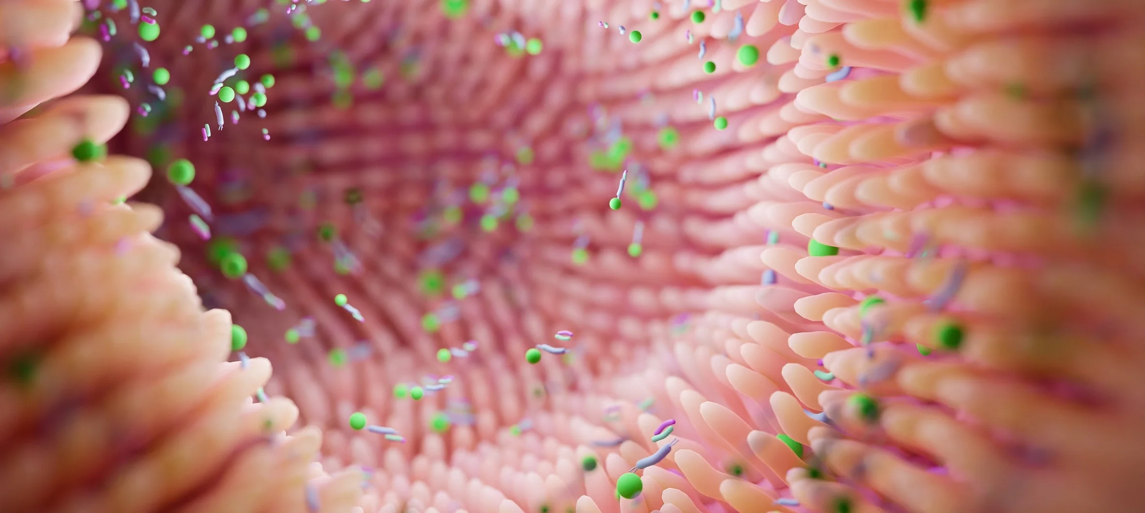 Disbiyozis (bağırsak mikrobiyota bozuklukları)