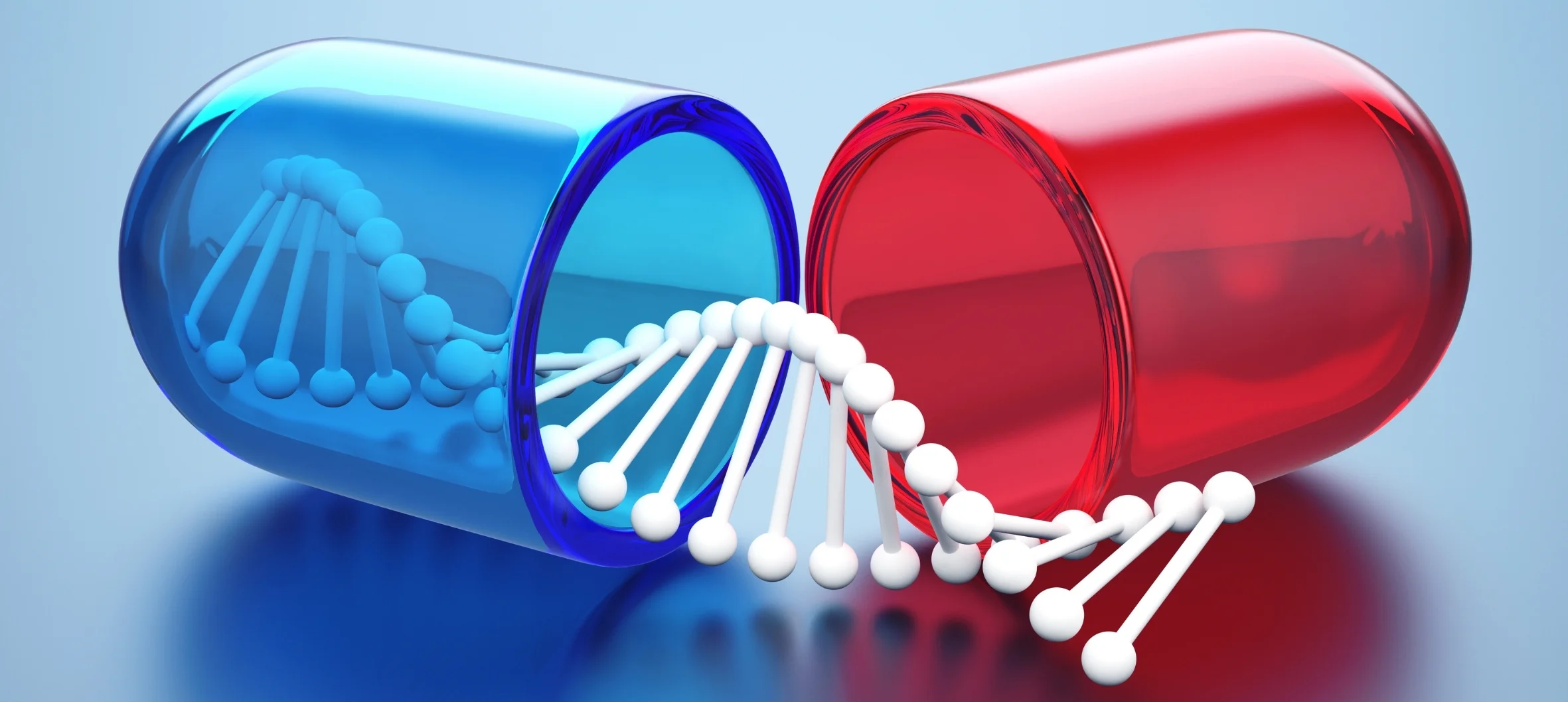 Bireysel Beslenme Danışmanlığı