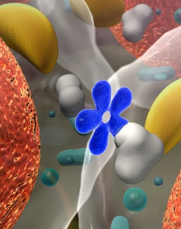 Kadın/erkek hormon dengesi