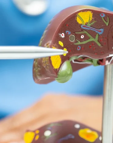 Karaciğer detoks sistemleri