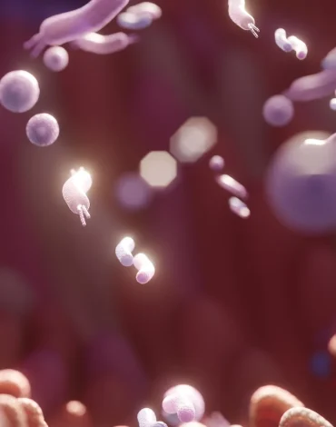 Mikrobiyota odaklı beslenme