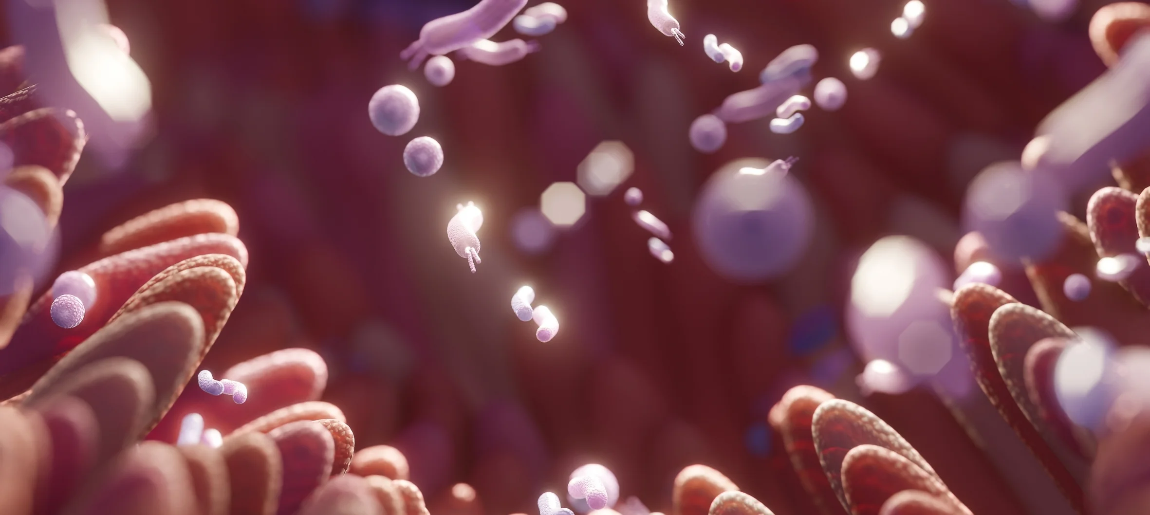 Mikrobiyota odaklı beslenme