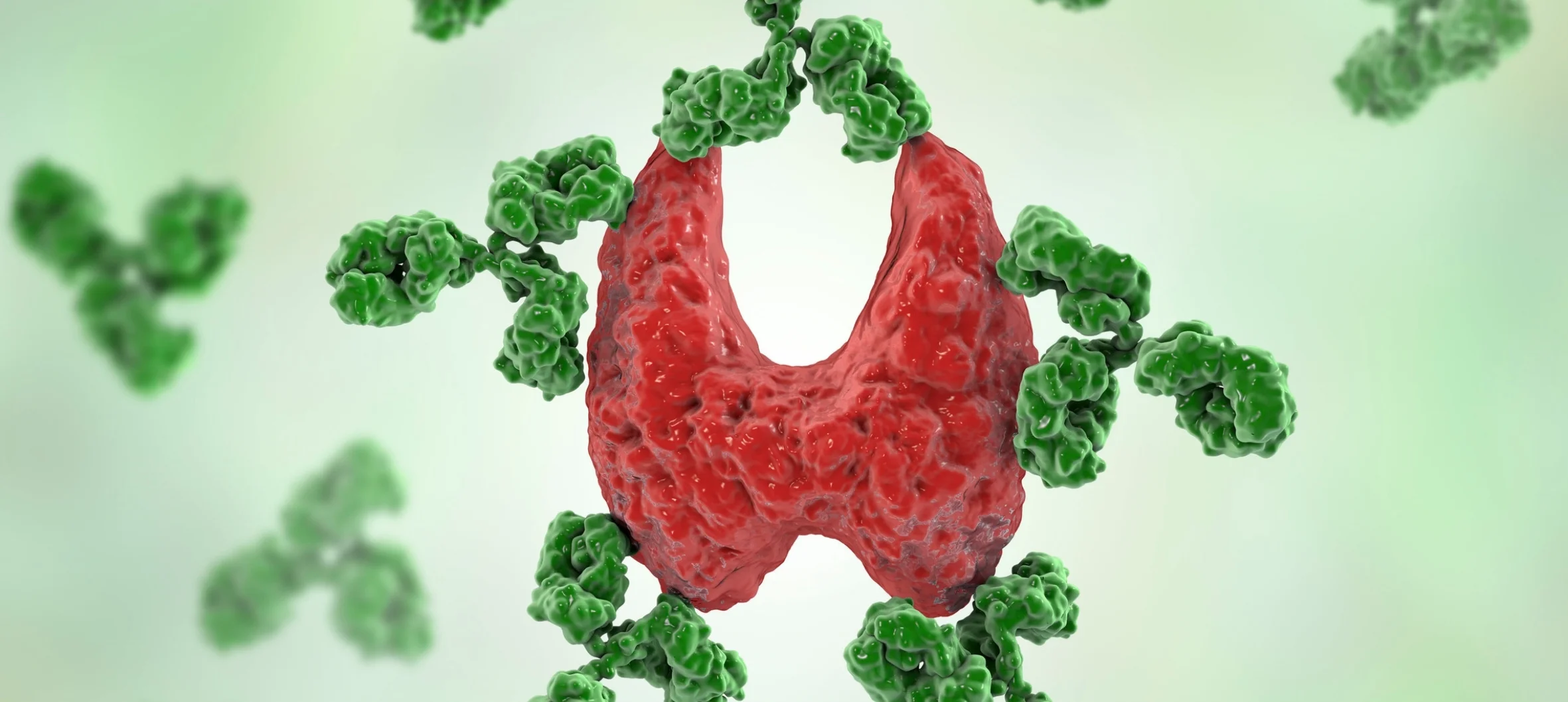 Otoimmün hastalıklar