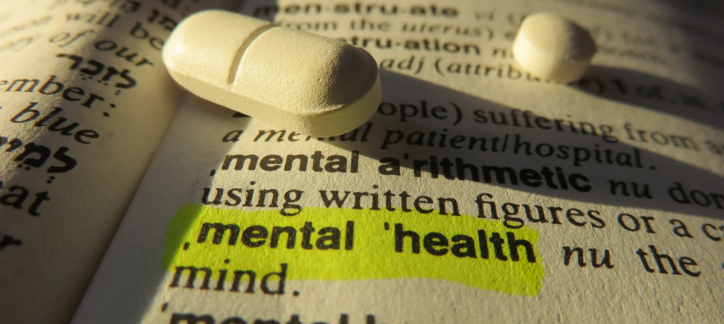 Sağlık Sözlüğü